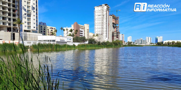 Continuará el frío en Mazatlán, se prevén hasta 19 °C para hoy jueves