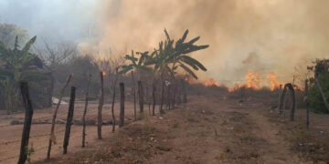 Muere segundo brigadista tras quedar atrapado en incendio forestal en Concordia, Sinaloa