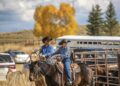 Hombre y sus 34 vacas MUEREN tras caerles un rayo