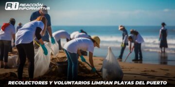 Recolectores y voluntarios limpian playas del puerto