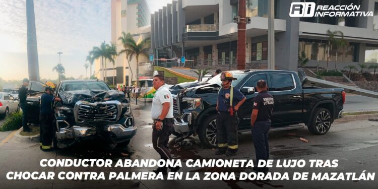 Conductor abandona camioneta de lujo tras chocar contra palmera en la Zona Dorada de Mazatlán