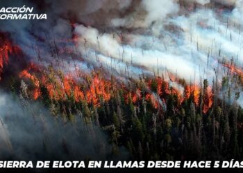 Sierra de Elota en llamas desde hace 5 días