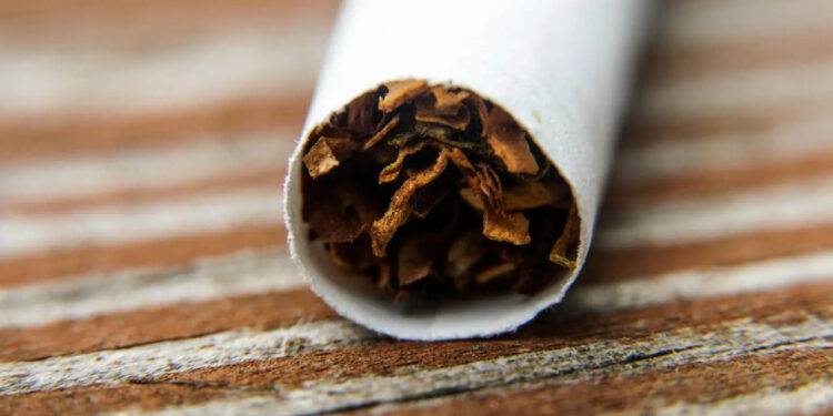 OMS pide proteger a los jóvenes del tabaco y los cigarros electrónicos