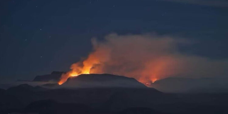 Combaten incendio forestal en área natural protegida de Sinaloa