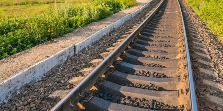 ¿Qué le pasó a la modelo venezolana que murió atropellada por un tren en Jalisco?