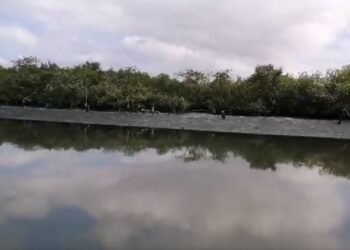 Mujer es rescatada tras lanzarse al Estero del Infiernillo por discusión con su pareja