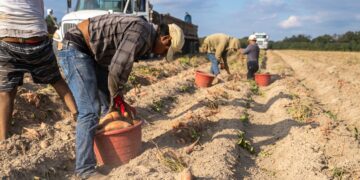 ¿Trabajas en el sector agrícola? Embajada de EU busca especialista y ofrece un sueldo superior a 700 MIL pesos