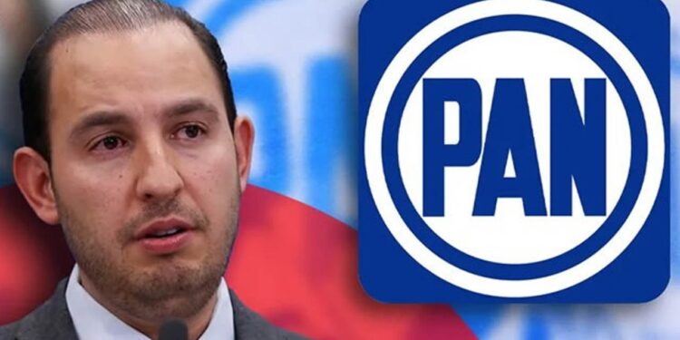 PAN inicia ruta para cambio de dirigencia; al menos 3 integrantes buscan suceder a Cortés