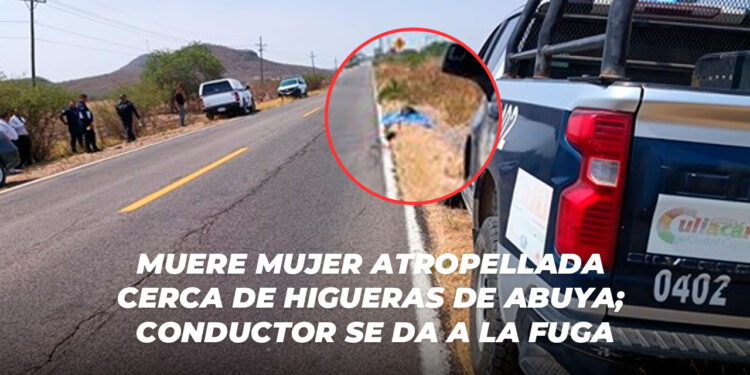 Muere mujer atropellada cerca de Higueras de Abuya; conductor se da a la fuga
