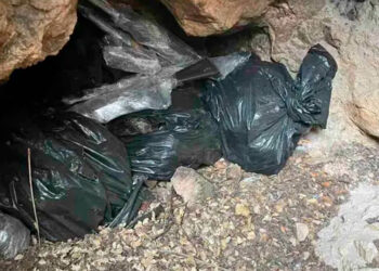 Guardia Nacional localiza armas en Parque Natural de Zacatecas