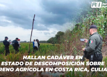Hallan cadáver en estado de descomposición sobre terreno agrícola en Costa Rica, Culiacán
