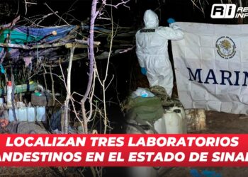 Localizan tres laboratorios clandestinos en el Estado de Sinaloa