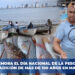 La pesca artesanal una tradición de más de 100 años en Mazatlán: hoy se conmemora el día nacional de La Pesca Artesanal