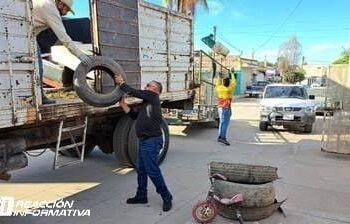 Sinaloa uno de los estados con más casos de dengue, ya son 276: Norma Alicia Soto Montoya
