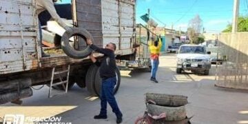 Sinaloa uno de los estados con más casos de dengue, ya son 276: Norma Alicia Soto Montoya