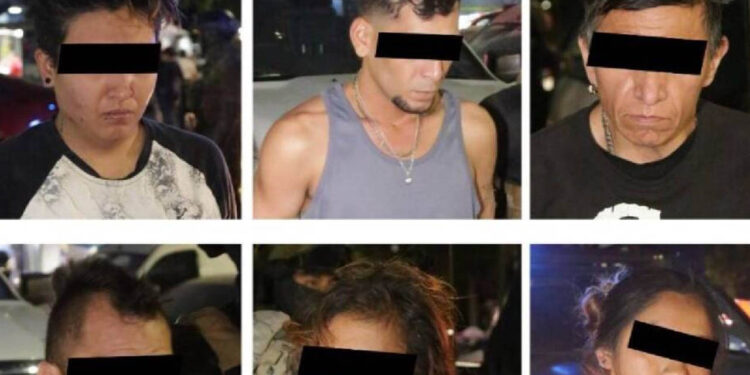 Decomisan más de 200 kilos de marihuana en la CDMX y detienen a 7 personas