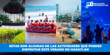 Estas son algunas de las actividades que puedes disfrutar este verano en Mazatlán
