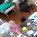 Video: Abuelito Asesina a sus Amigos Porque No lo Ayudaron Cuando Se Cayó
