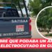 Hombre que podaba un árbol muere electrocutado en Guasave