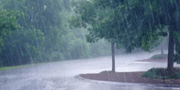 ¿Lloverá TODO el día? ASÍ está afectando la tormenta tropical ‘Alberto’ HOY 20 de junio
