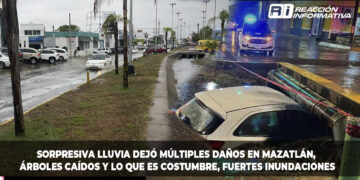Sorpresiva lluvia dejó múltiples daños en Mazatlán, árboles caídos y lo que es costumbre, fuertes inundaciones