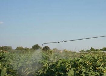 Joven de 25 años muere por intoxicación con fumigante tóxico en Elota