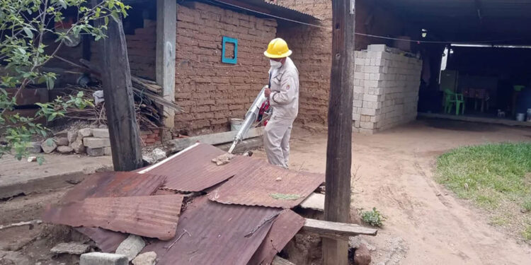 Casos de dengue suben 385 % en México y la alerta crece ante la temporada de huracanes