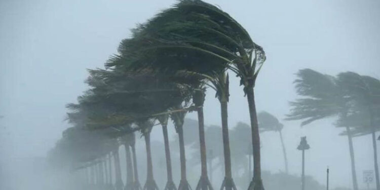 Sube posibilidad de que ciclón tropical azote a México