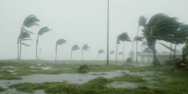 ¿Qué es el fenómeno de La Niña y El Niño y qué efectos se reflejarán en México?