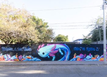Invitan a participar en el programa “Vamos Pintando Culiacán”