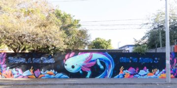 Invitan a participar en el programa “Vamos Pintando Culiacán”
