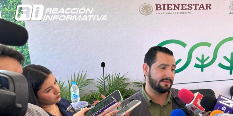Más de 6 mil credenciales de IMSS Bienestar se han entregado en Sinaloa