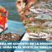 Se espera un aumento en la producción de jaiba en el norte de Sinaloa