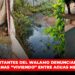 ¡AYUDA!: Habitantes del Walamo denuncian que llevan semanas “viviendo” entre aguas negras
