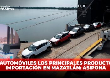 Son automóviles los principales productos de importación en Mazatlán: ASIPONA