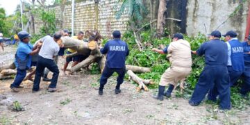 Continúa el Plan Marina en sus fases de recuperación y prevención por los efectos de la Tormenta Tropical Beryl
