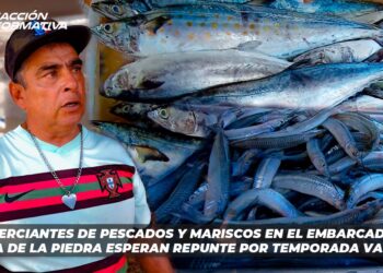 Comerciantes de pescados y mariscos en el Embarcadero de la Isla de la Piedra esperan repunte por temporada vacacional