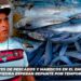 Comerciantes de pescados y mariscos en el Embarcadero de la Isla de la Piedra esperan repunte por temporada vacacional