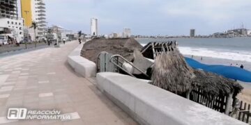 Alcalde dice que accesos de playas en Av. Del Mar están secuestrados por palaperos, pero ¿qué hace para dar solución?