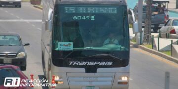 Gobierno multará a camiones “chárter” que paseen a turistas; “solo tiene permitido dejar y recoger a los visitantes”: Alcalde