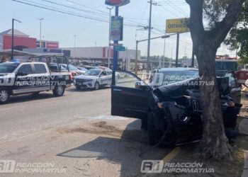 Camioneta pierde el control y choca contra árbol del camellón