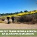 Fallece trabajadora agrícola en el Campo 35 en Ahome