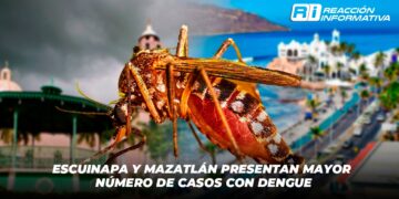 Escuinapa y Mazatlán presentan mayor número de casos con dengue
