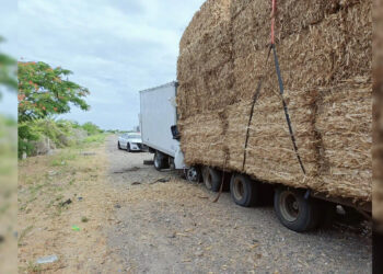 Fuerte choque entre camiones en la autopista Culiacán-Mazatlán deja dos personas sin vida