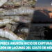 CONAPESCA anuncia inicio de capturas de camarón en lagunas del Golfo de México