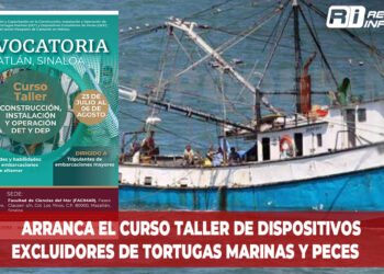 Arranca el curso taller de Dispositivos Excluidores de Tortugas Marinas y Peces