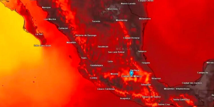 ¿Qué estados sentirán más calor durante la Canícula 2024?