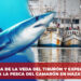Apertura de la veda del tiburón y expectativas para la pesca del camarón en Mazatlán