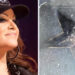 Destruyen la nueva estrella de Jenni Rivera en el Paseo de la Fama de Hollywood