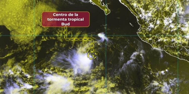 Se forma tormenta tropical Bud en el Océano Pacífico: ¿Está cerca de México?